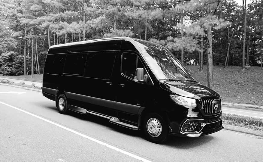 14 passengers sprinter party bus Chicago 14 passengers sprinter party bus Chicago