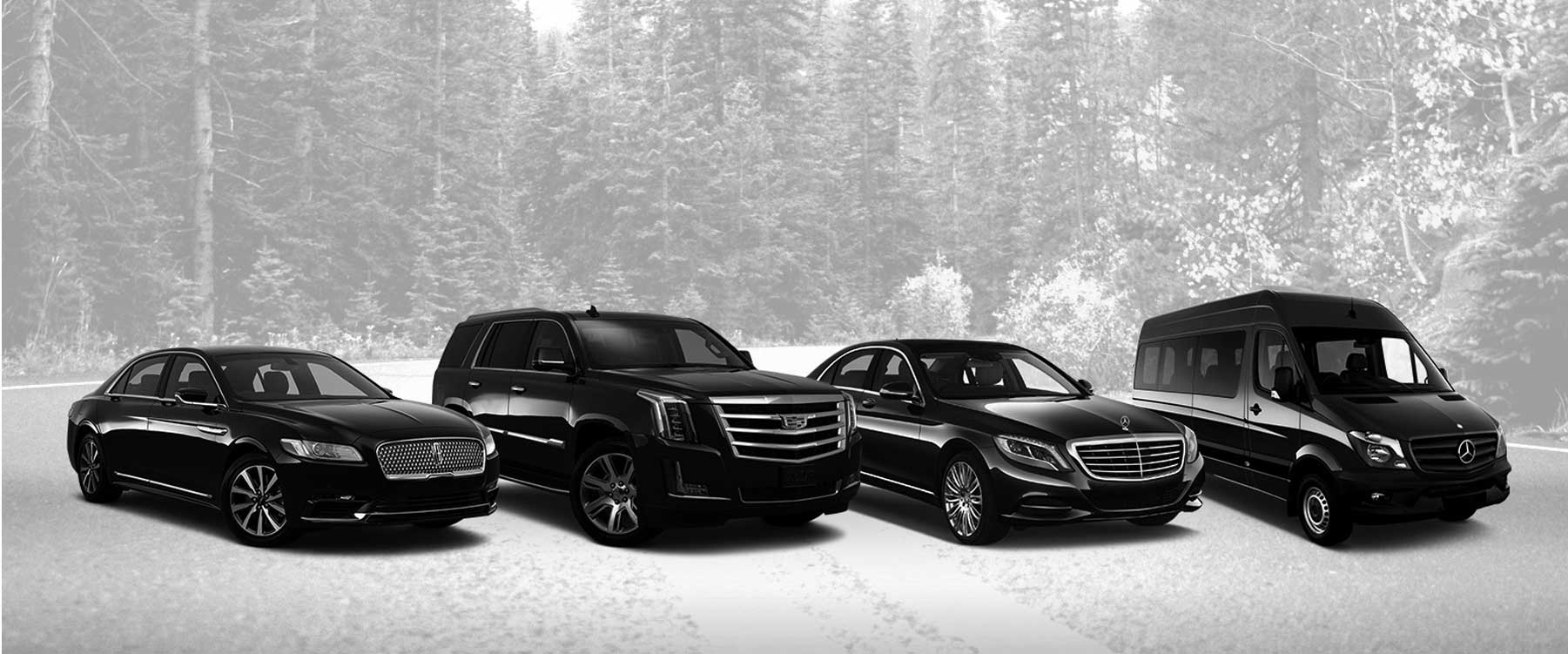 Comprehensive Services Tailored to Enhance Your Travel Experience Comprehensive Services Tailored to Enhance Your Travel Experience